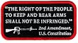 2nd Amendment US Constitution Embroidered Patch Iron-On Gun Rights AR-15 Emblem