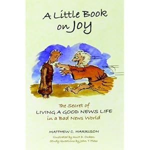 A Little Book on Joy: The Secret of LIVING A GOOD NEWS LIFE in a Bad News World