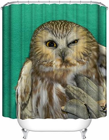 AQWI4R Northern Saw Whet Owl Unique Personality Shower Curtains 60x72Inch 150x180Cm