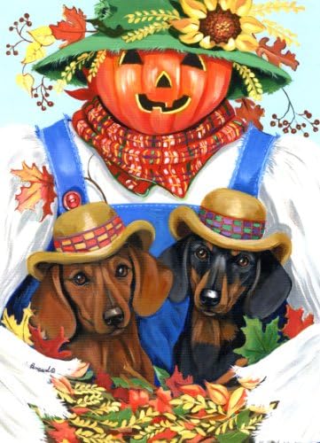 Dachshund Fall-LF