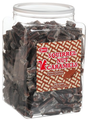 Necco Squirrel Nut Caramels, Chewy Chocolate Peanut Caramels, 240-Count, 67.5-Ounce Tub... by NECCO