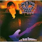 Acid Blues Experience