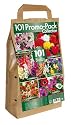 101 Promo Bulb Pack with 6 Different Fantastic Summer Bulb Varieties (Pack of 101)