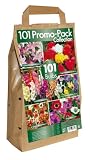 101 Promo Bulb Pack with 6 Different Fantastic Summer Bulb Varieties (Pack of 101)