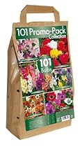 101 Promo Bulb Pack with 6 Different Fantastic Summer Bulb Varieties (Pack of 101)