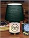 The Memory Company NFL-GBP-515 Green Bay Packers Dual Lit Accent Lamp