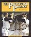 Search : The Pittsburgh Pirates (Team Spirit Series)
