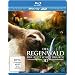 Der Regenwald 3D - Der letzte Schatz der Erde [3D Blu-ray]