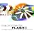 Macromedia Flash 5