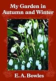 My Garden in Autumn and Winter