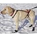Adjustable Pulling Harness - Large (dogs 30-75 lbs)