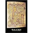 Book of Kells (Illumination of the Chi Rho Page) Art Poster Print - 24x36