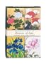 Boston International Metropolitan Museum Of Art Boxed Note Cards Collection: Flowers Of Asia