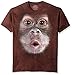 The Mountain Big Face Baby Orangutan Adult T-Shirt, Brown, Medium