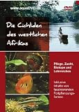 Eigenschaften LIMOX Produktion und Handel  / Die Cichliden des westlichen Afrikas Buntbarsche