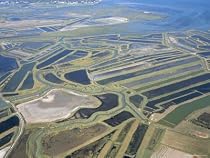 Aerial View of Mud Flats and Salt Marshes, Ile De Re, Charente Maritime, France Photographic Poster Print by Bruno Barbier, 16x12