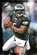 Philadelphia Eagles (Donovan McNabb) Sports Poster Print - 24" X 36"