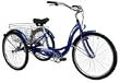 Schwinn Meridian