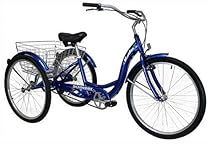 Schwinn Meridian Adult 26-Inch 3-Wheel Bike (Blue)
