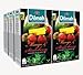 Dilmah, Fun Tea, Single Origin Pure Ceylon, Mango & Strawberry, 20 Count String & Tag, (Pack of 6)