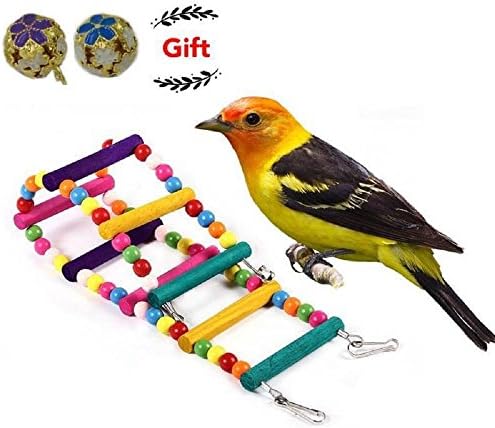 DENGHOME INC® Parrot Bird Toys Perches, Flexible Colorful Wooden Ladder, 20 Inch L and 3.5 Inch W