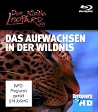 Discovery HD: Austin Stevens - Der kleine Leopard Das Aufwachsen in der Wildnis - thumbnail
