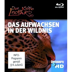 Discovery HD: Austin Stevens - Der kleine Leopard Das Aufwachsen in der Wildnis [Blu-ray]