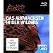 Discovery HD: Austin Stevens - Der kleine Leopard Das Aufwachsen in der Wildnis [Blu-ray]