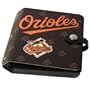 Baltimore Orioles Road O'Foto Photo Album