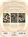 Young Beginner's Guide to Shooting & Archery: Tips for Gun and Bow (The Complete Hunter)