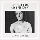No One Can Ever Know [VINYL]