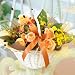 �ԍH�[�ԑ���G�[�f�����C�X �t�����[�M�t�g �I�����W�h�b�g���a�����E�L�O���E�����̏j���E����������