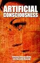 Artificial Consciousness