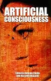 Artificial Consciousness