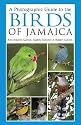 A Photographic Guide to the Birds of Jamaica
