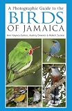 A Photographic Guide to the Birds of Jamaica
