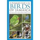 Photographic Guide to the Birds of Jamaicapar Ann Haynes-Sutton
