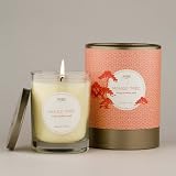 51KdcHMNyPL. SL160  Mango Tree, KOBO Pure Soy Candle with Cylindrical Gift Box from the Origami Collection