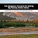 Book Time Management Principles For Selling Dog Training Collars Online