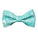 Alizeal Boys Adjustable Fashion Paisley Floral Strapped Pre-tied Kids Bow Tie,Turquoise