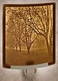Misty Meadows CURVED Porcelain Lithophane Nightlight