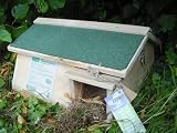 Wildlife World Hedgehog Habitat with Itegral Tunnel