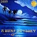 Sporting Goods : 2009 ROBB HAVASSY "A SURF ODYSSEY" 15 MONTH CALENDAR