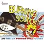 Burning Sounds: 20 Killer Power Pop Cuts