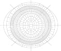 9 Generation Family Tree Chart