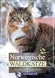 norwegische waldkatzen kaufen