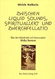 Produkt-Bild: Zwischen Liquid Sound, Spiritualit&auml;t und Zwerchfellatio. &Uuml;ber den Globaltrottel und Ozeanosophen Micky Remann