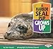 A Harbor Seal Pup Grows Up (Baby Animals)