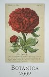 Botanica Cavallini 2009 Vintage Prints Wall Calendar 13 by 19 inches cream laid paper finish