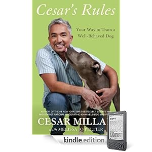 Your Way to Train a Well-Behaved Dog